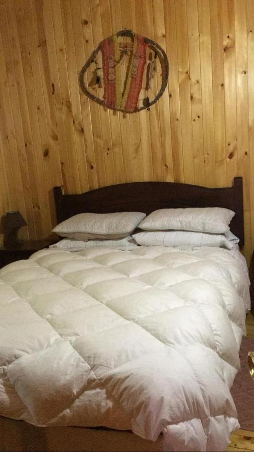 Cabanas Trabunco Pucón Exteriör bild